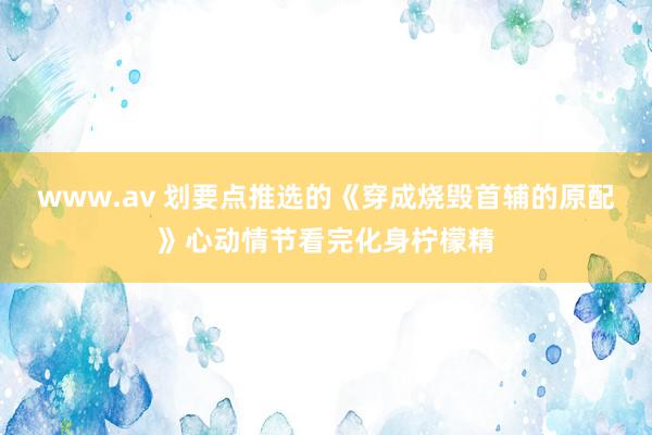 www.av 划要点推选的《穿成烧毁首辅的原配》心动情节看完化身柠檬精