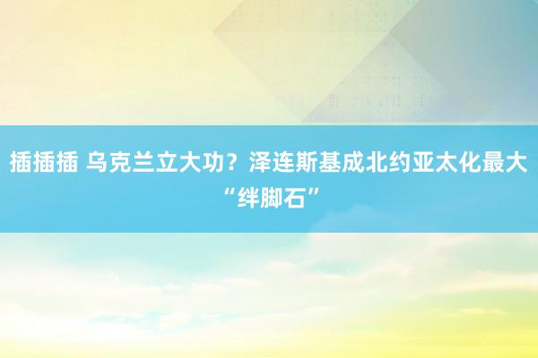 插插插 乌克兰立大功？泽连斯基成北约亚太化最大“绊脚石”