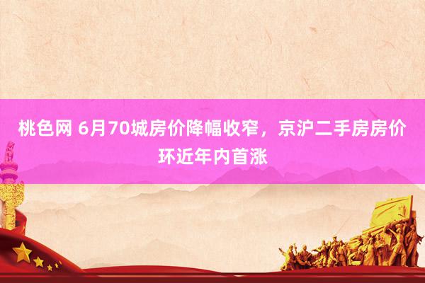 桃色网 6月70城房价降幅收窄，京沪二手房房价环近年内首涨