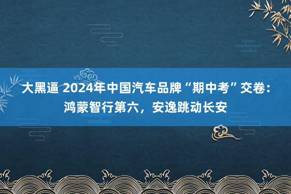 大黑逼 2024年中国汽车品牌“期中考”交卷：鸿蒙智行第六，安逸跳动长安