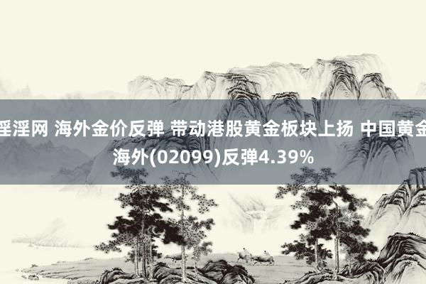 淫淫网 海外金价反弹 带动港股黄金板块上扬 中国黄金海外(02099)反弹4.39%