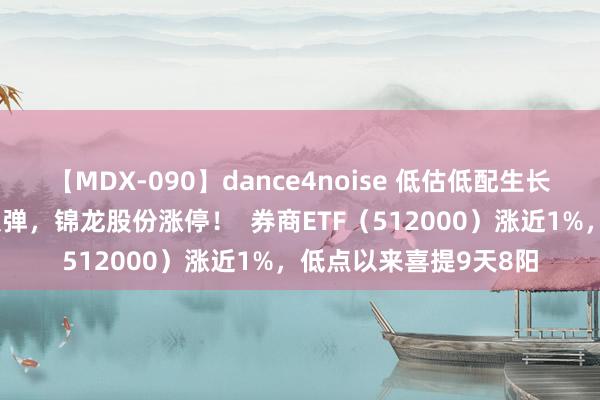 【MDX-090】dance4noise 低估低配生长契机！“旗头”连续反弹，锦龙股份涨停！  券商ETF（512000）涨近1%，低点以来喜提9天8阳