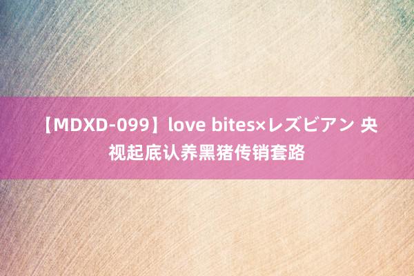 【MDXD-099】love bites×レズビアン 央视起底认养黑猪传销套路