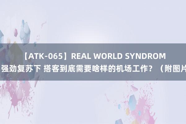 【ATK-065】REAL WORLD SYNDROME 强劲复苏下 搭客到底需要啥样的机场工作？（附图片）