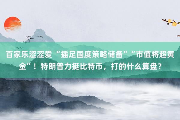 百家乐涩涩爱 “插足国度策略储备”“市值将超黄金”！特朗普力挺比特币，打的什么算盘？