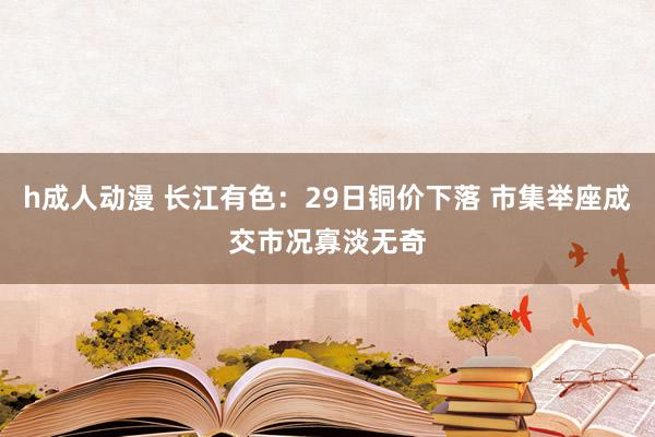 h成人动漫 长江有色：29日铜价下落 市集举座成交市况寡淡无奇