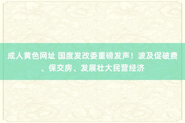 成人黄色网址 国度发改委重磅发声！波及促破费、保交房、发展壮大民营经济