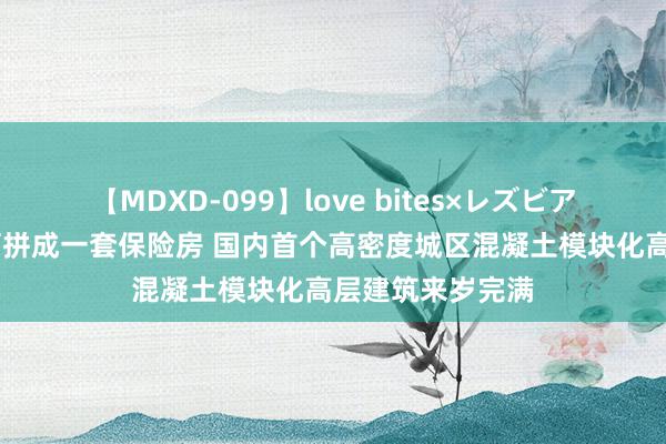 【MDXD-099】love bites×レズビアン 一个模块即可拼成一套保险房 国内首个高密度城区混凝土模块化高层建筑来岁完满