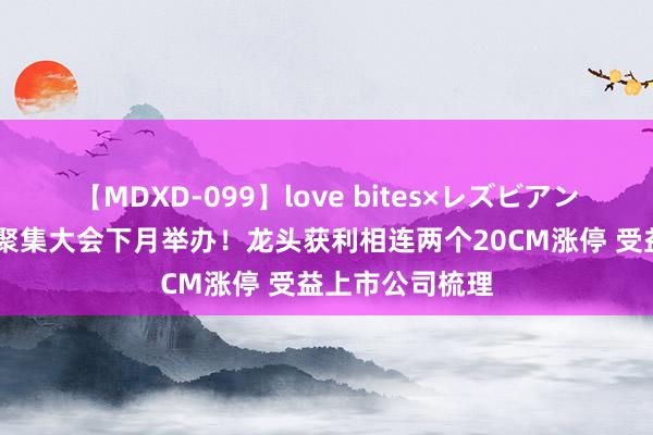 【MDXD-099】love bites×レズビアン 华为海念念全聚集大会下月举办！龙头获利相连两个20CM涨停 受益上市公司梳理