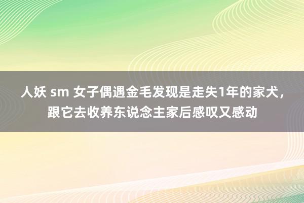 人妖 sm 女子偶遇金毛发现是走失1年的家犬，跟它去收养东说念主家后感叹又感动