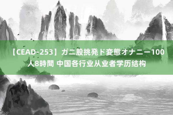 【CEAD-253】ガニ股挑発ド変態オナニー100人8時間 中国各行业从业者学历结构