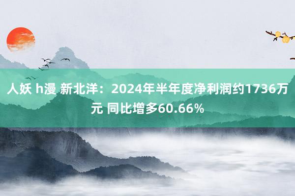 人妖 h漫 新北洋：2024年半年度净利润约1736万元 同比增多60.66%