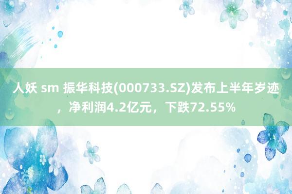 人妖 sm 振华科技(000733.SZ)发布上半年岁迹，净利润4.2亿元，下跌72.55%