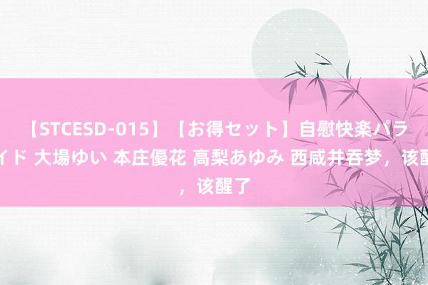 【STCESD-015】【お得セット】自慰快楽パラノイド 大場ゆい 本庄優花 高梨あゆみ 西咸并吞梦，该醒了